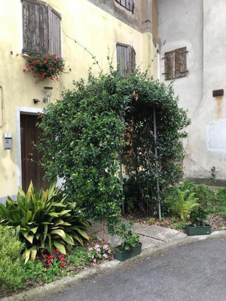 Il Casale Del Miele Bed and Breakfast Fraforeano Exterior foto